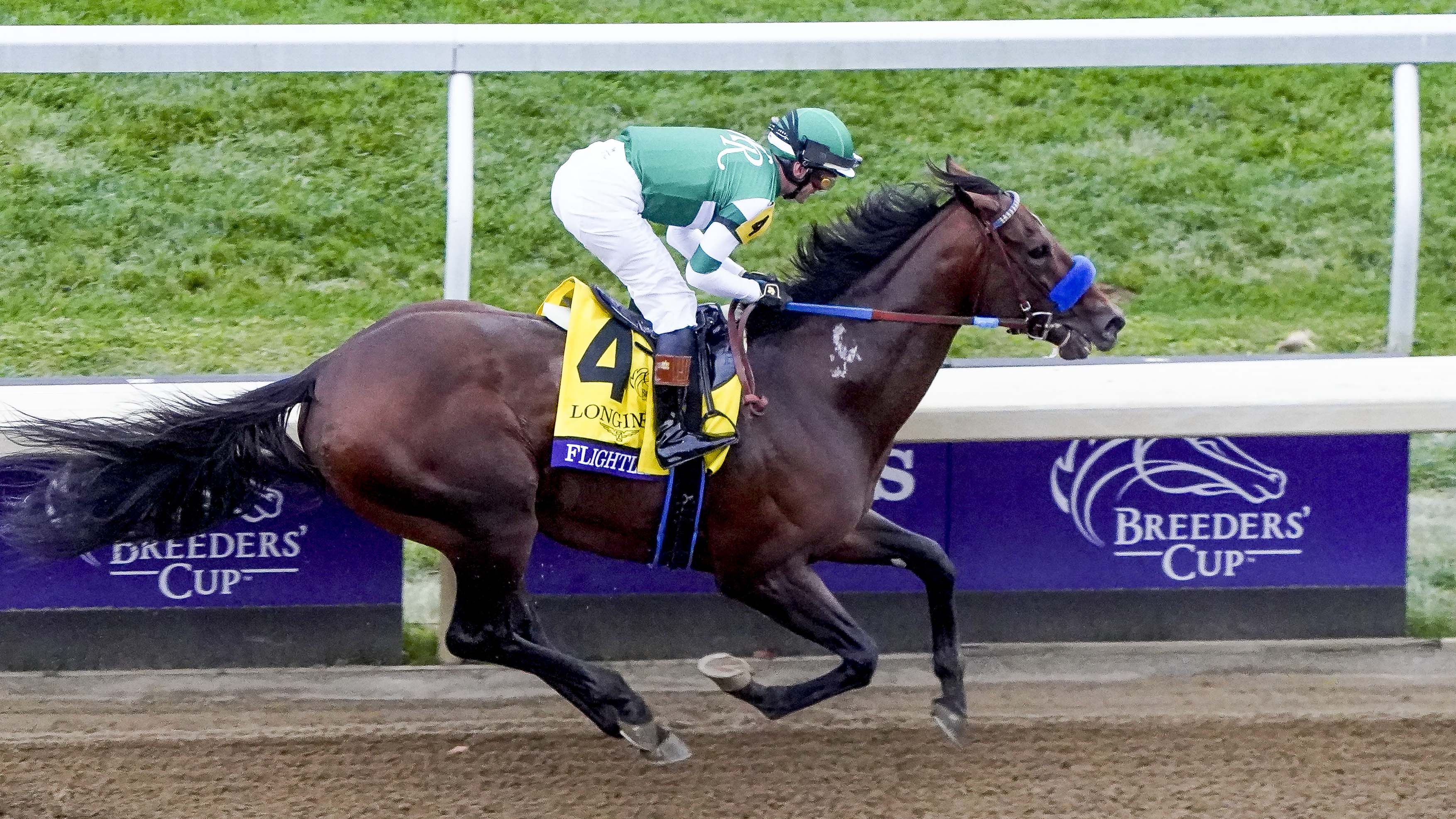 Breeders Cup Classic analysis Timeform report following